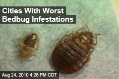Cities With Worst Bedbug Infestations