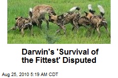 Darwin's 'Survival of the Fittest' Disputed