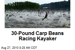 30-Pound Carp Beans Racing Kayaker
