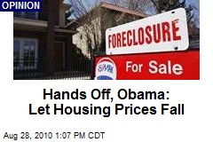 Hands Off, Obama: Let Housing Prices Fall