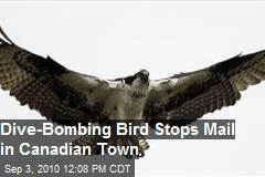 Dive Bombing Bird Stops Mail