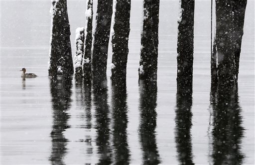 'Potentially historic' storm headed for Northeast