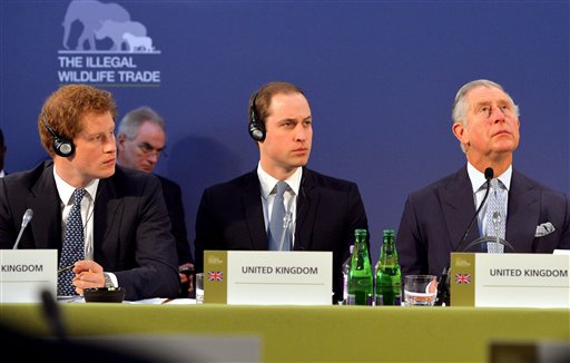 Wildlife meeting calls for end to ivory stockpiles