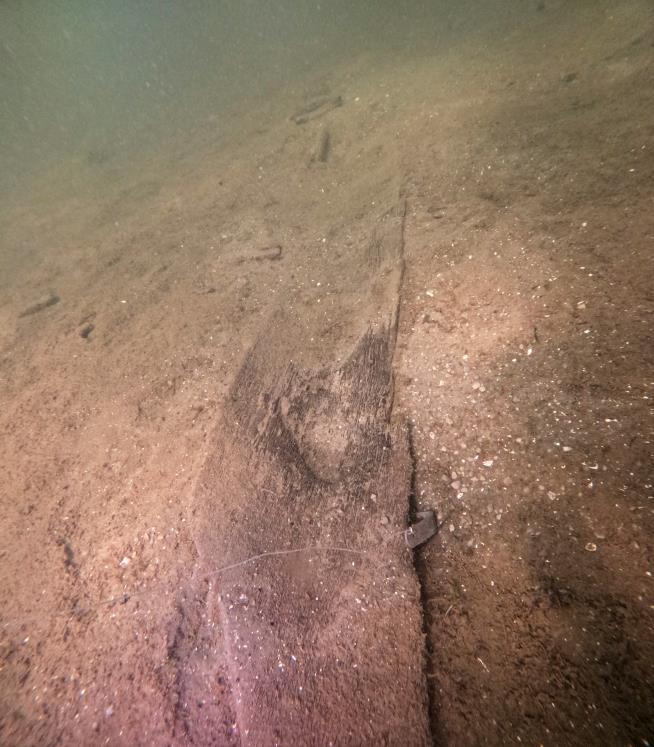 Wisconsin archaeologists identify 16 ancient canoes in a prehistoric lake 'parking lot'