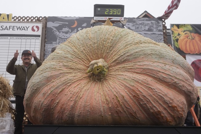 Pumpkin weighing 2,471 pounds wins California contest