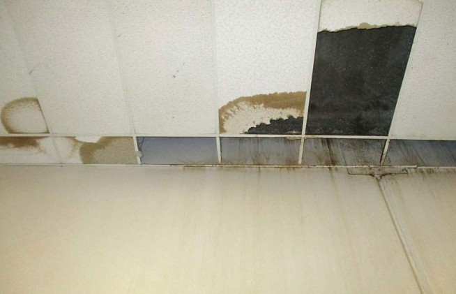 Maggots, mice fall into California prison dining hall