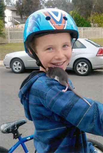 Child dies from infected rat; family sues Petco