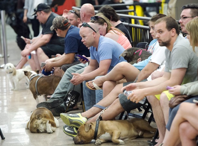 Officials fear massive Alberta wildfire could double in size