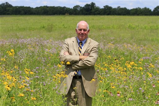 Airport tests new way to avoid deadly bird strikes