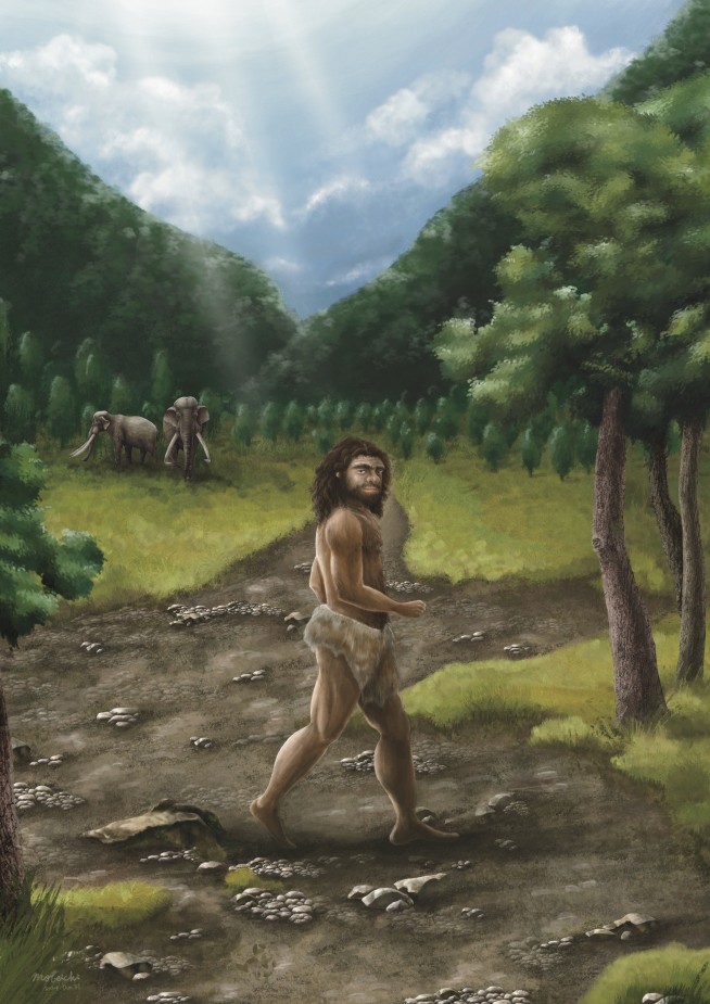 Ancient jawbone from Taiwan belongs to a mysterious group of human ancestors, scientists say