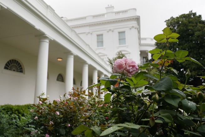 Spruced-up White House Rose Garden set for first lady speech