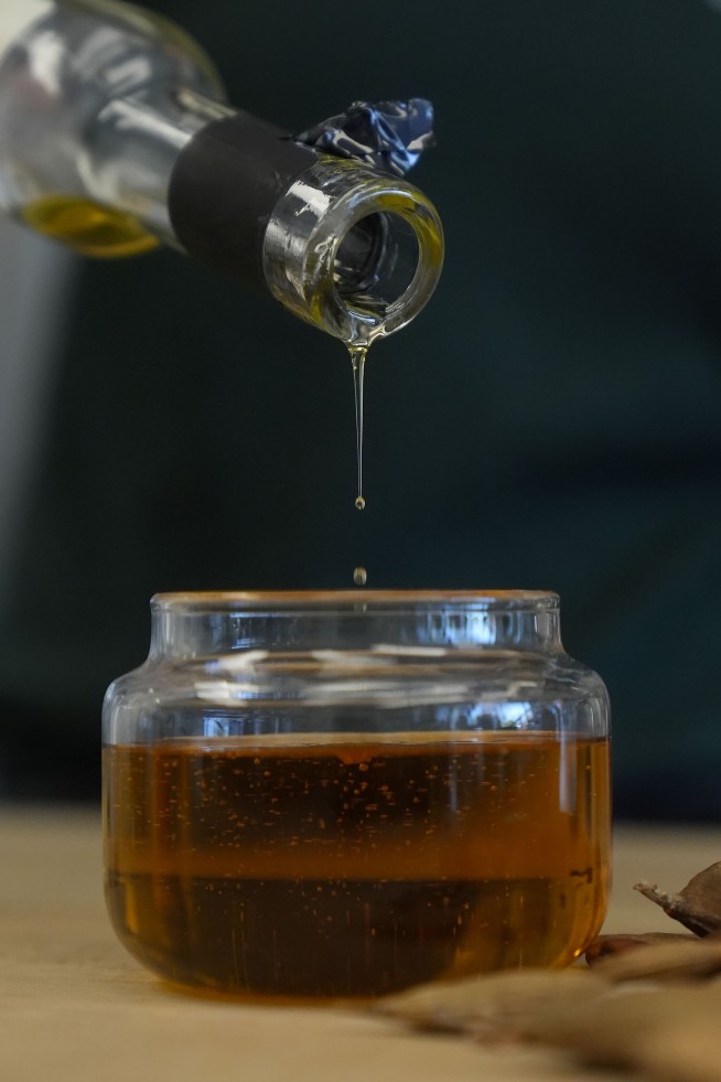 Pongamia trees grow where citrus once flourished, offering renewable energy and plant-based protein