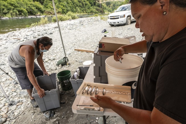 Salmon will soon swim freely in the Klamath River for first time in a century once dams are removed