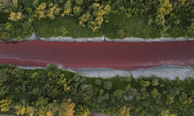 ‘It looks like a stream of blood.’ A river near Buenos Aires turns red, sparking fears of toxic leak