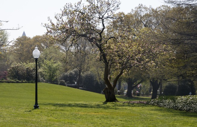 Mystery solved: Why Trump-Macron friendship tree vanished