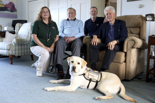Former President Bush gets a service dog named 'Sully'