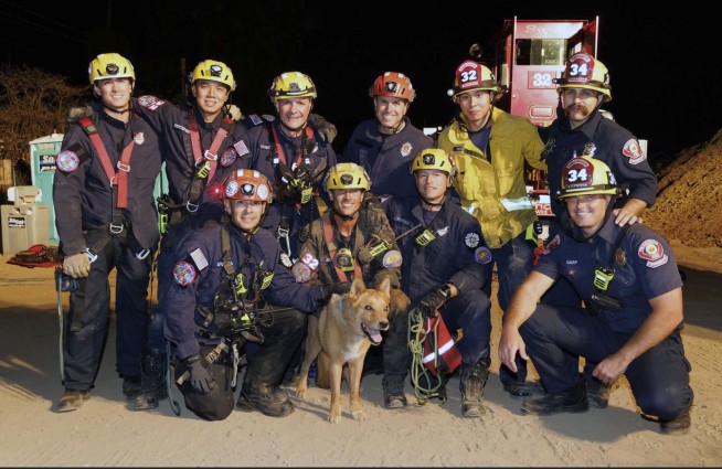 Blind dog rescued from hole at California construction site