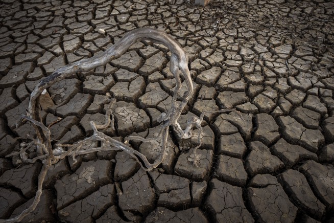 Dry winter drains reservoirs, ruins crops in Spain, Portugal