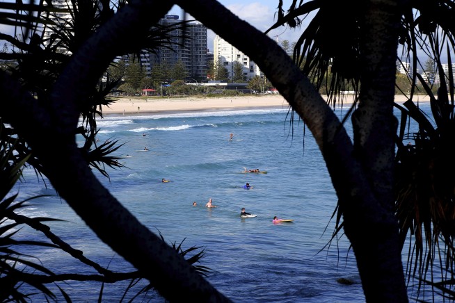 Australia officials probe if dead shark in net killed surfer