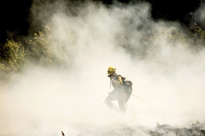 4 famous giant trees unharmed by Sequoia National Park fire