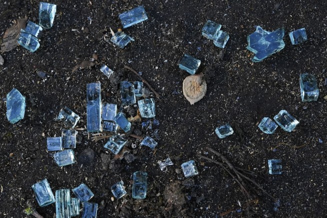 'Orchestrated attack' on Portland elections office shatters dozens of windows, police say