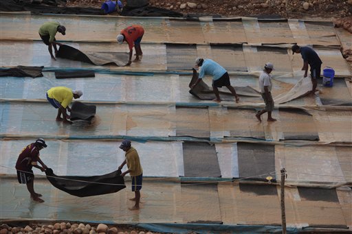 Deadline lapses in Peru for illegal gold miners