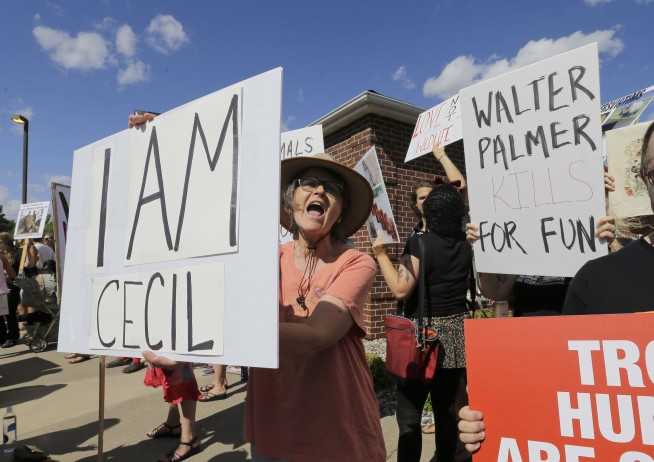 US dentist who killed Cecil the lion set to return to work