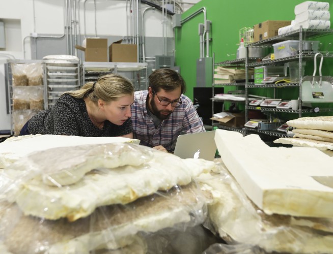 Toadstool footstools: Are organisms manufacturing's future?