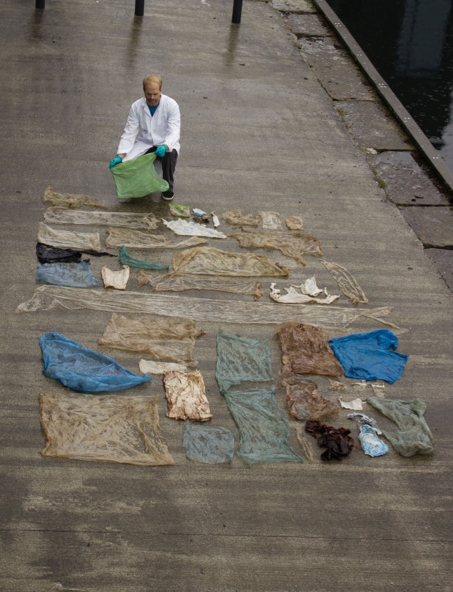 Zoologists say dead whale in Norway full of plastic bags