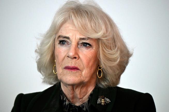 UK's Queen Camilla recalls assault in 1960s as she campaigns against domestic violence