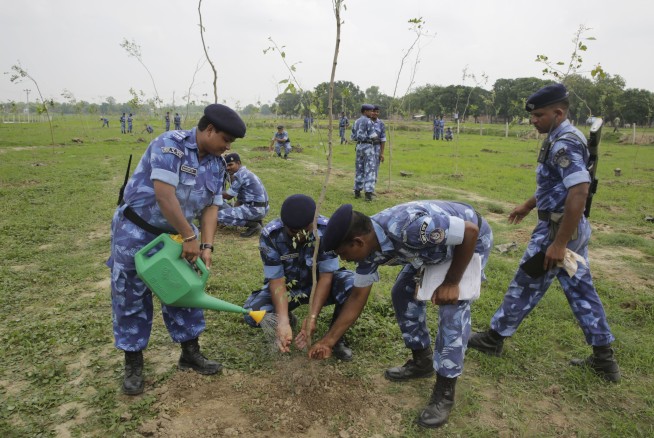 India state aims to plant a record 50 million trees in a day