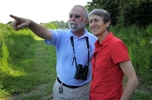 US declares wood storks no longer endangered