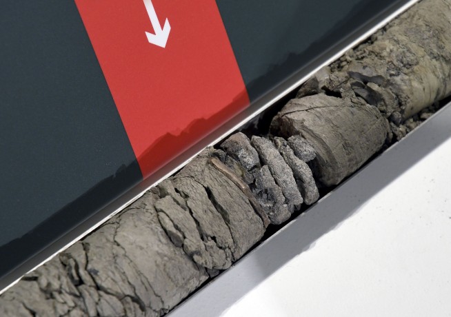 A Denver dino museum makes a find deep under own parking lot. Like 'a hole in one from the moon.'