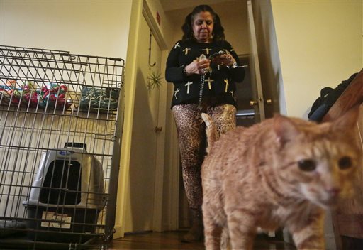 More domestic violence shelters are taking in pets