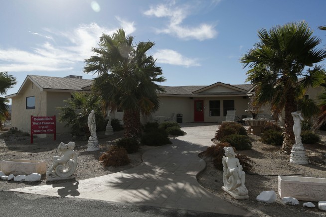 Nevada's famous pimp expected to win election despite death