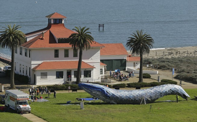 Life-sized plastic whale to raise ocean pollution awareness