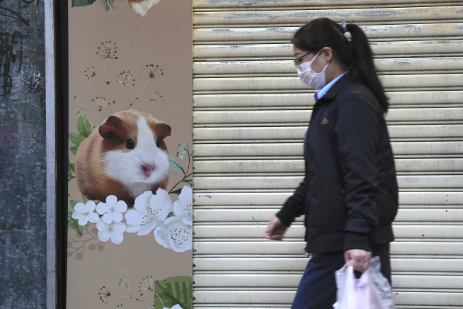 Hong Kong to kill 2,000 animals after hamsters get COVID-19