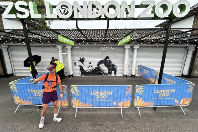 'Banksy woz ere.' London Zoo is the latest to remove street artist's animal mural for protection