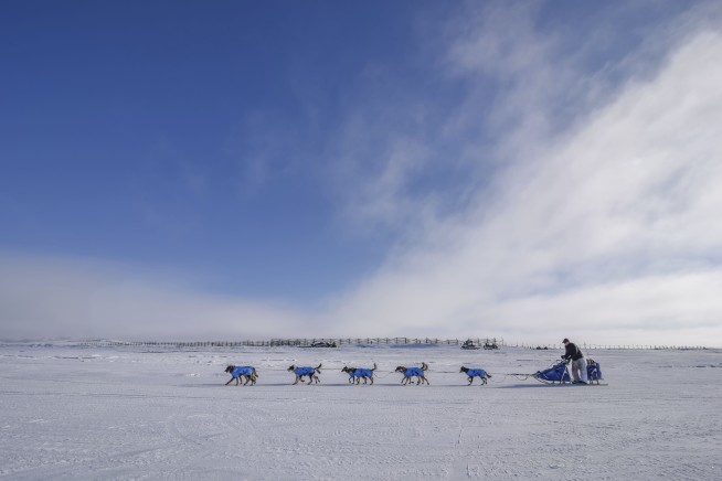 Seavey becomes oldest, fastest musher to win Iditarod