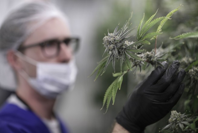 Nevada launches sales of legal recreational marijuana