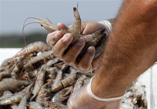 Study: Mislabeled shrimp at restaurants, grocers