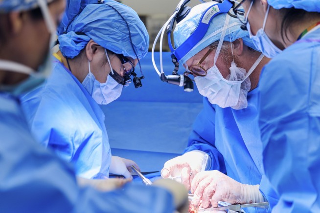 An Alabama woman is doing well after the latest experimental pig kidney transplant