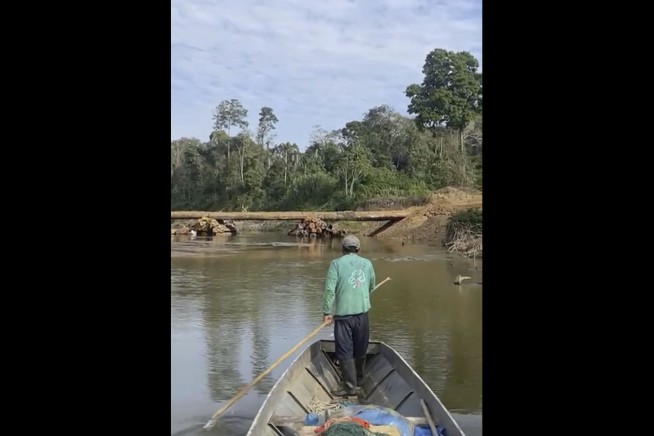 Isolated Amazon tribe seen near logging bridge site, alarming rights group