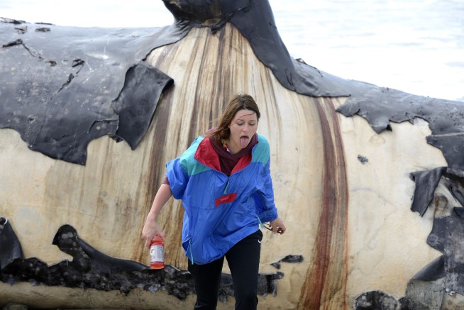 Officials ponder how to remove dead whale from surf spot