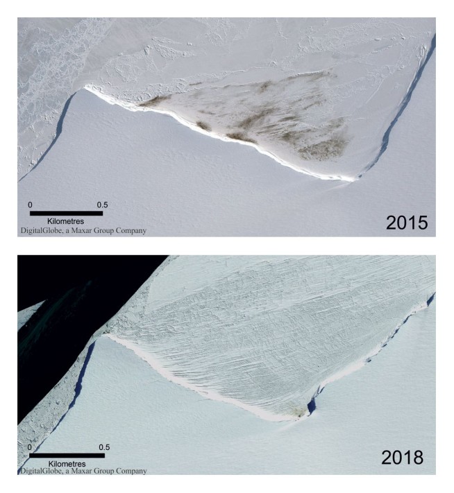 Major emperor penguin breeding ground gone barren since 2016