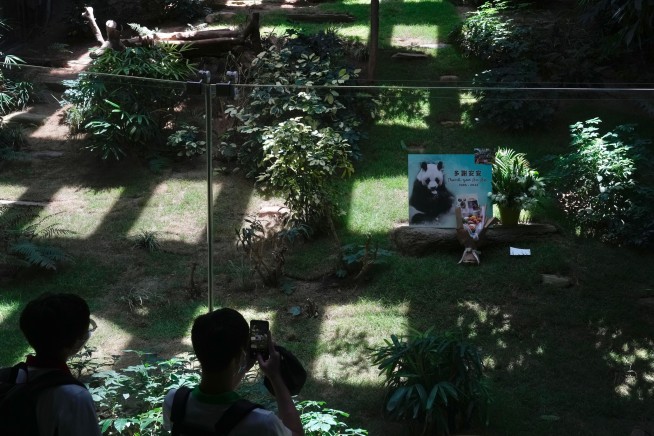 World's oldest male giant panda dies at age 35 in Hong Kong