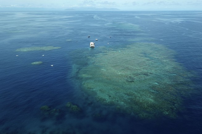 Australia argues against 'endangered' Barrier Reef status
