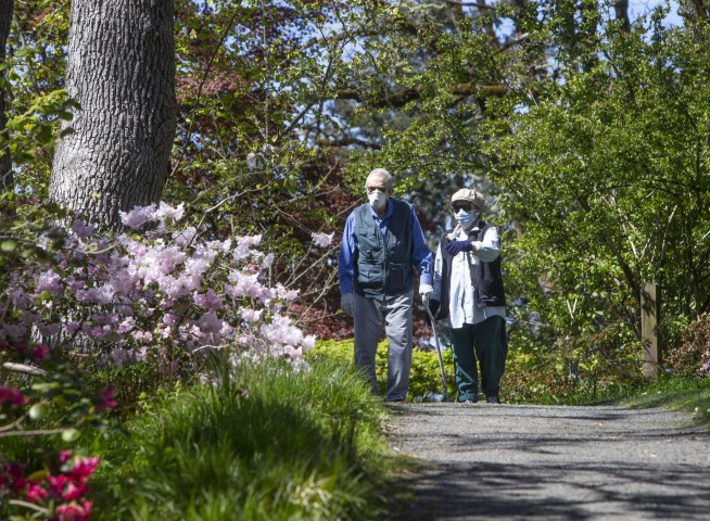 The Latest: Trump halts US payments to WHO