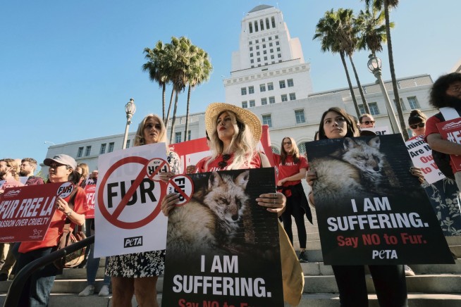 California governor signs fur sale, circus animal bans