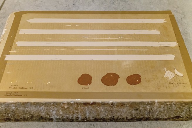 Danish masters prepped canvases with leftovers from brewing beer